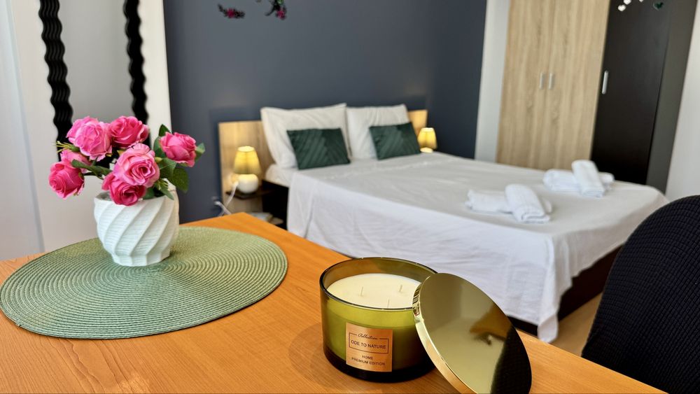 Ap Regim Hotelier Sholiday Timisoara