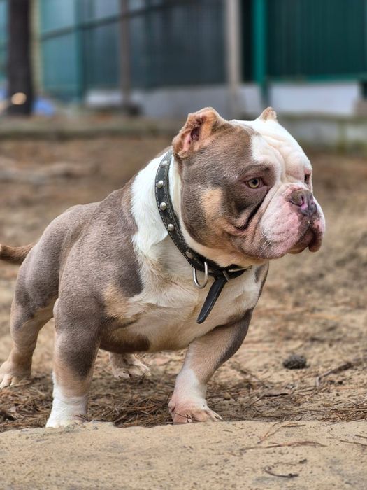 От этого шикарного папы есть детки