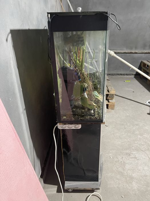 Продаётся аквариум