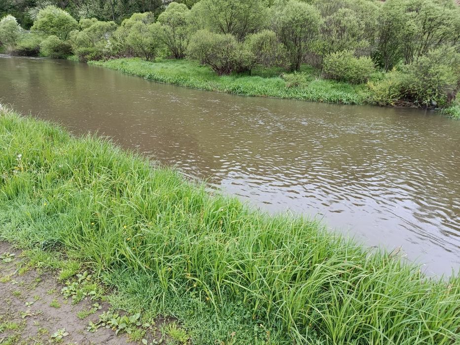 Teren 1.6 ha Sărmaș - Harghita, acces pod E578, potențial de investiție turistica / lac agrement / zona camping  / ferma / parc fotovoltaic