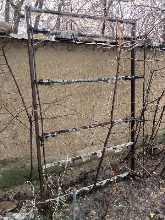Богажник богаж