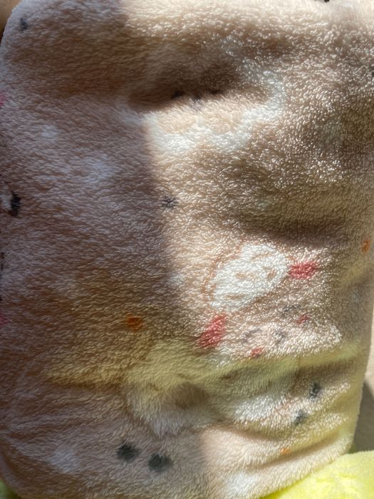 Лот  дебели одеяла 5 бр