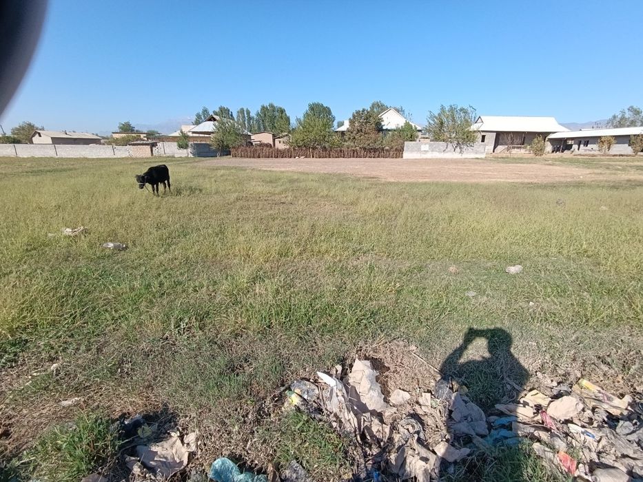 Yer Sotiladi 16sotiq