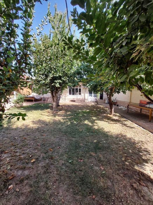 Тошкент , Олмазор тумани ,Мирза Голиб  махалласи