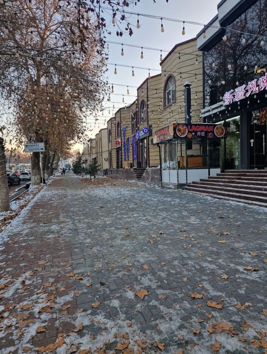 Продаются здание под гостиницу или мед центр