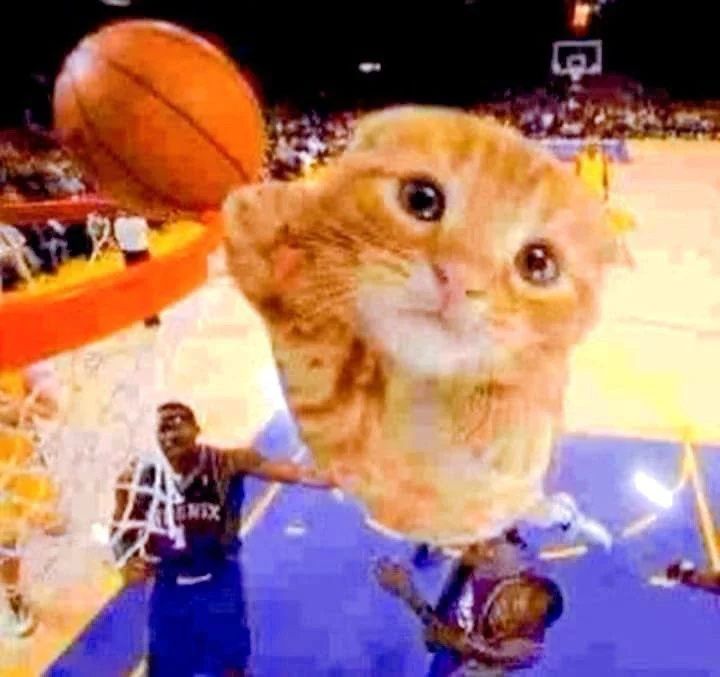 Котик вязанный ДРУГОГО ЦВЕТА
