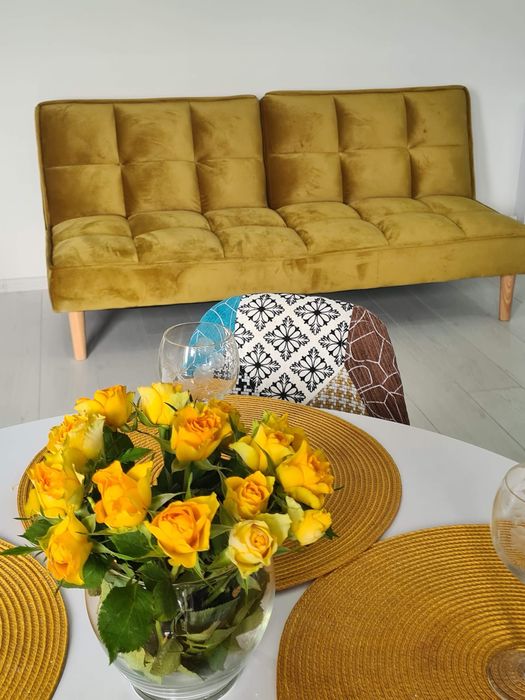 Cazare Mamaia studio