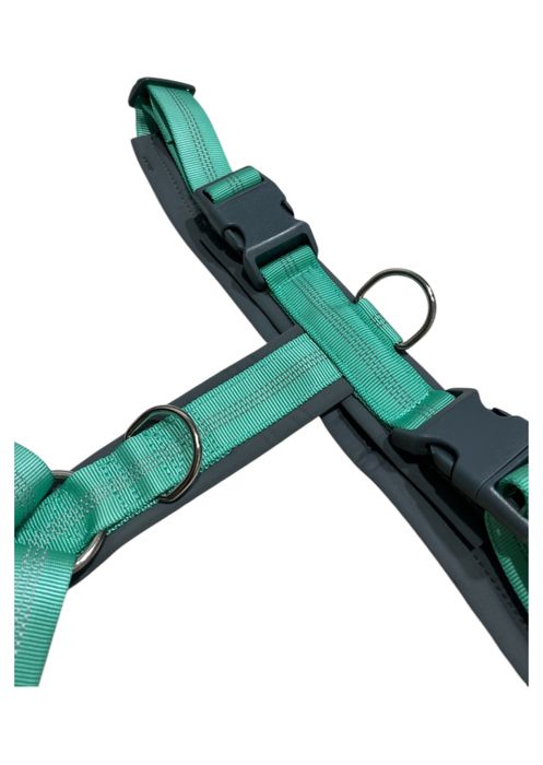 Анатомическая шлейка для собак