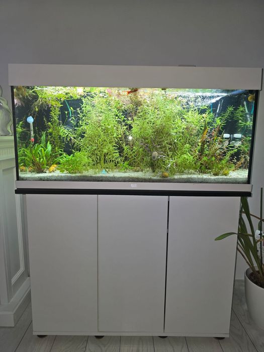 Vand acvariu complet