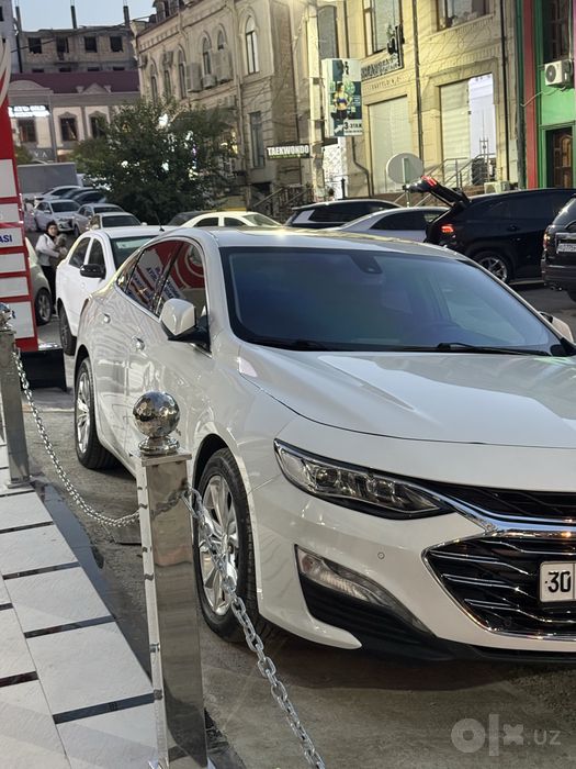 Malibu Premier малибу