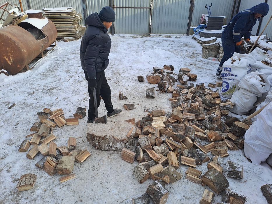 Спил дерева тал кесу 24/7.