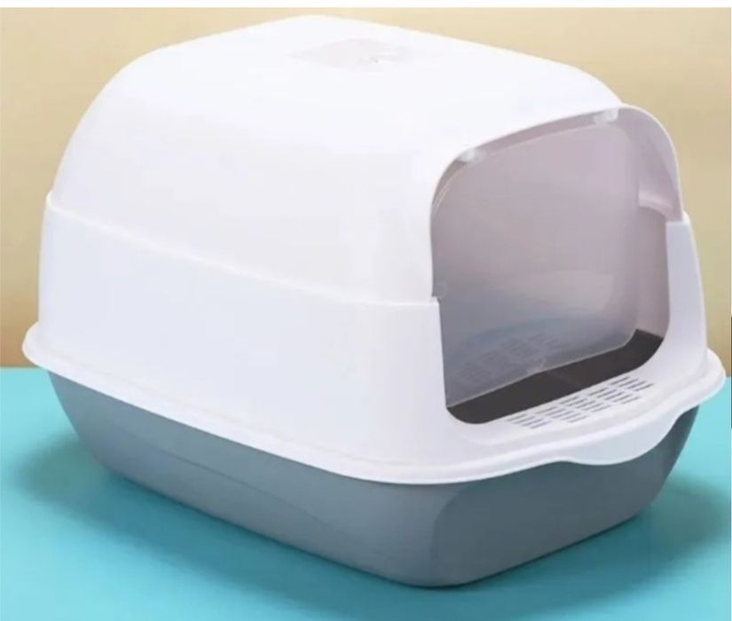 Продам кот  10000