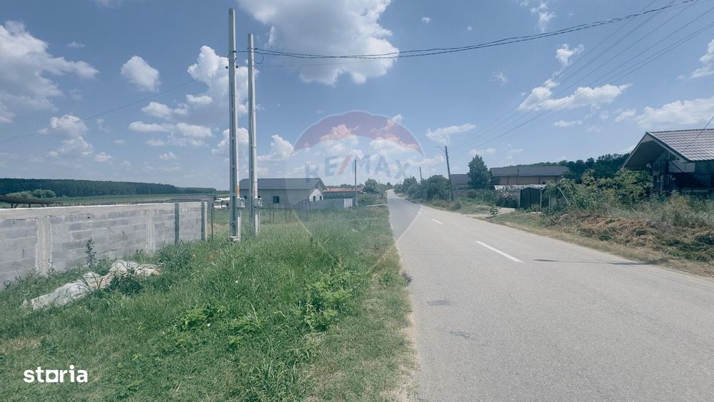 3700mp la principală, 1077mp intravilan, Cotofenii din Dos