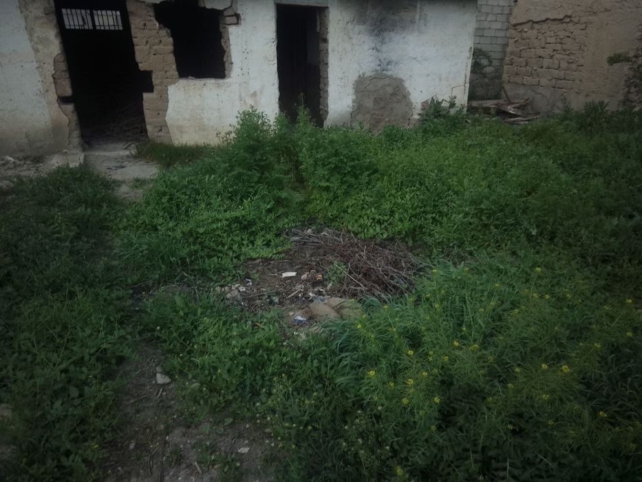 Дала ховли сотилади