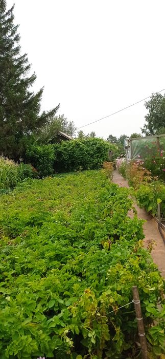 Прода м дачу сад Южной