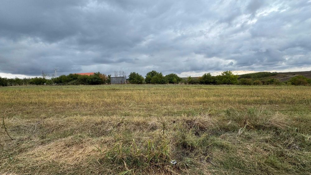 Vand teren Intravilan 1400 MP in Parcul National Comana - Vlad Tepes