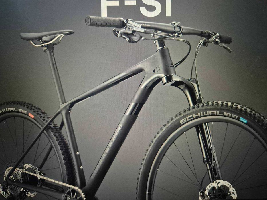 Cannondale F-Si Lefty 29 Carbon
