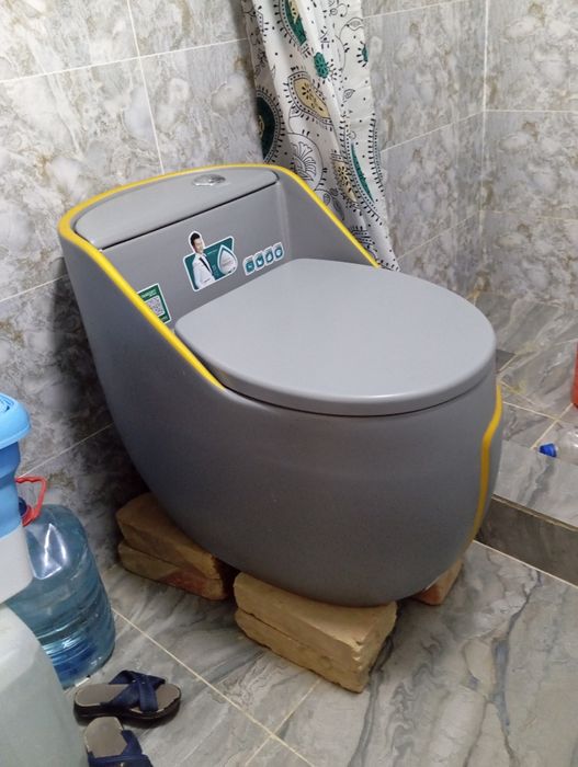 Унитаз китайский