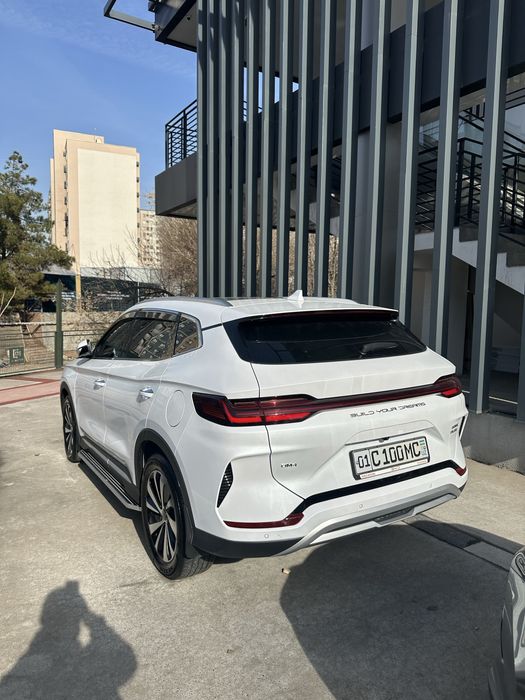 Byd chempion gibrid 2024 yil 150 tali