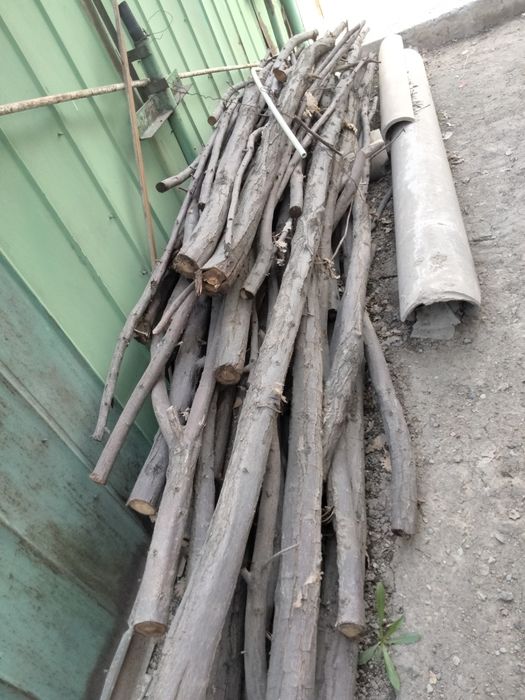 Дубовые ветки для инструмента