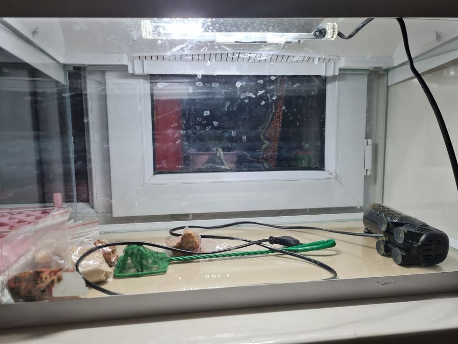 Продам аквариум с декором