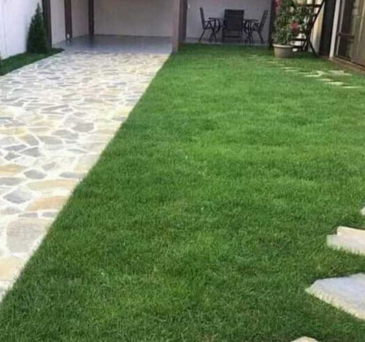 Gazon Rulou, Sisteme de irigare