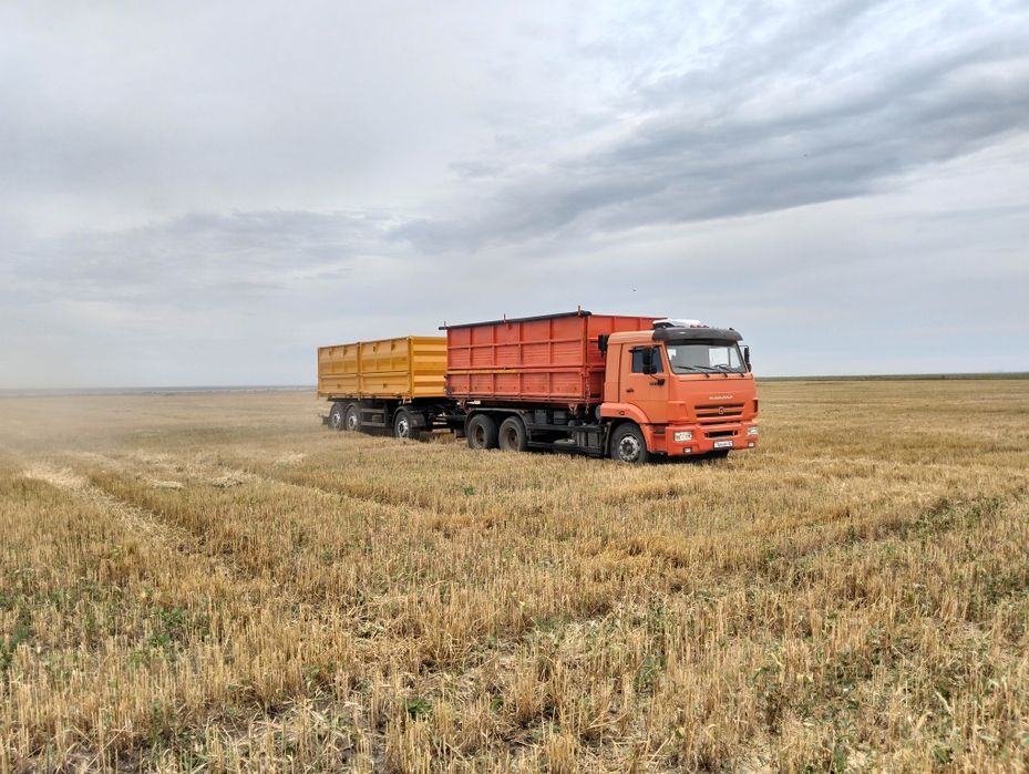 Услуги зерновоза