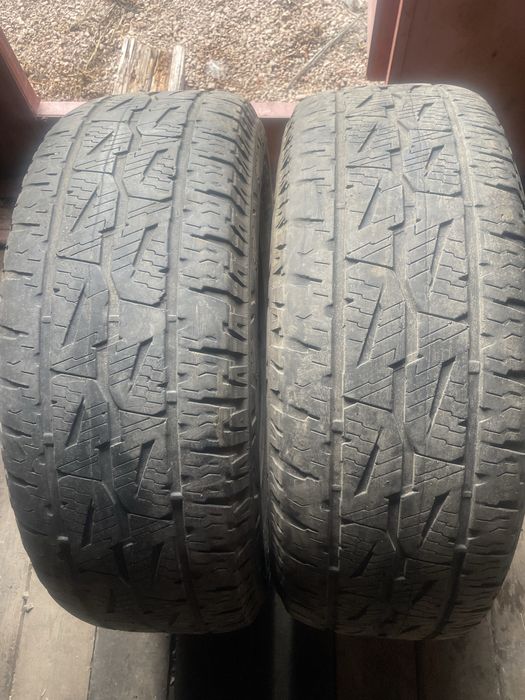 Шины летние (bridgestone)пара