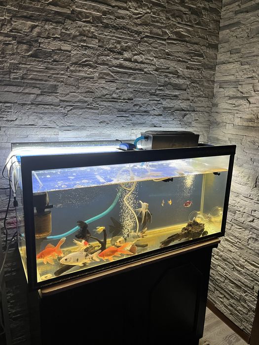 Үйге арналған аквариум сатылады