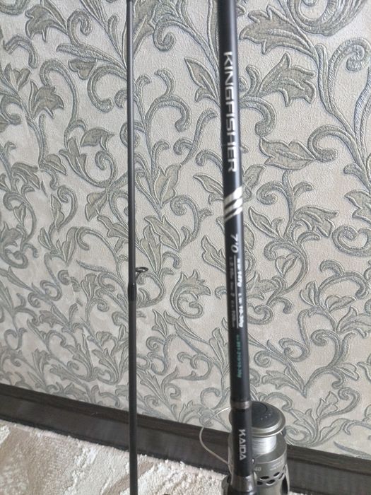 Спиннинг Kaida kingfisher