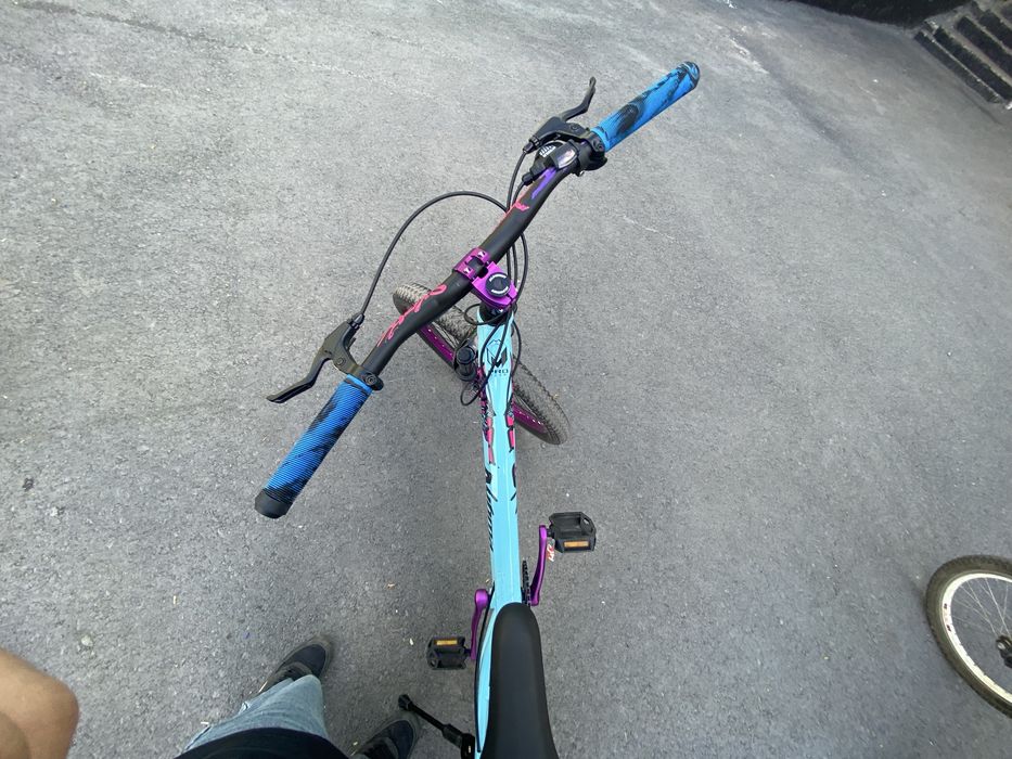 Вилик стант голубой