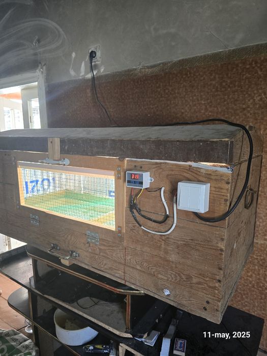 Bruder брудер жужалар учун