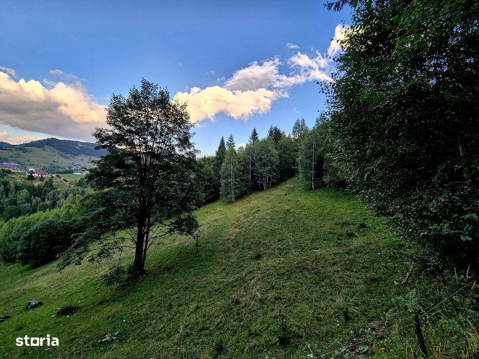 Teren investitie 8635 mp extravilan , Pestera Brasov