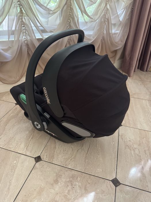 Scoica auto coccolle