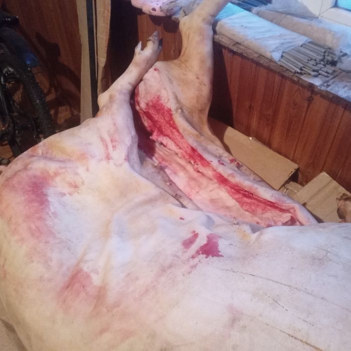 Продам мясо свинины.