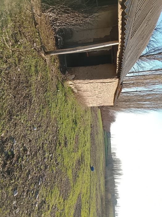 Срочна котта йеримиза сотувга чикди 51 сотих