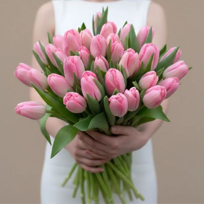 Тюльпаны Казахстан, Голландия