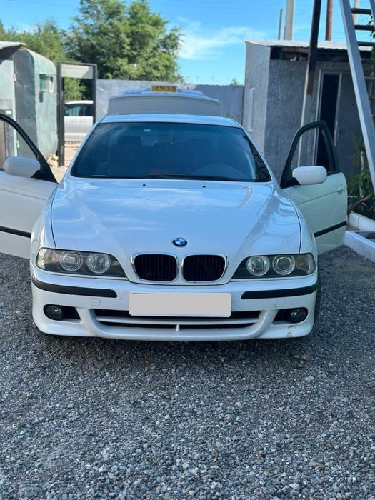 Межгород, трансфер, комфорт — BMW E39