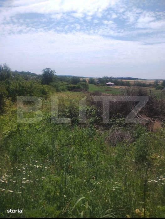 Teren intravilan Ardud Vii