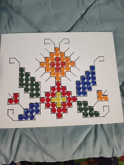 апликации шевици