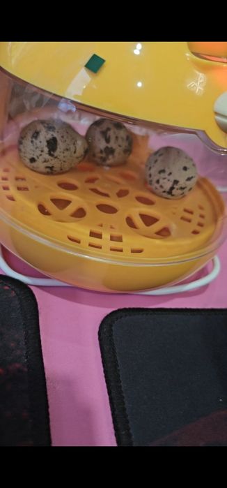 Продам инкубатор