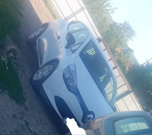 Vand renault clio