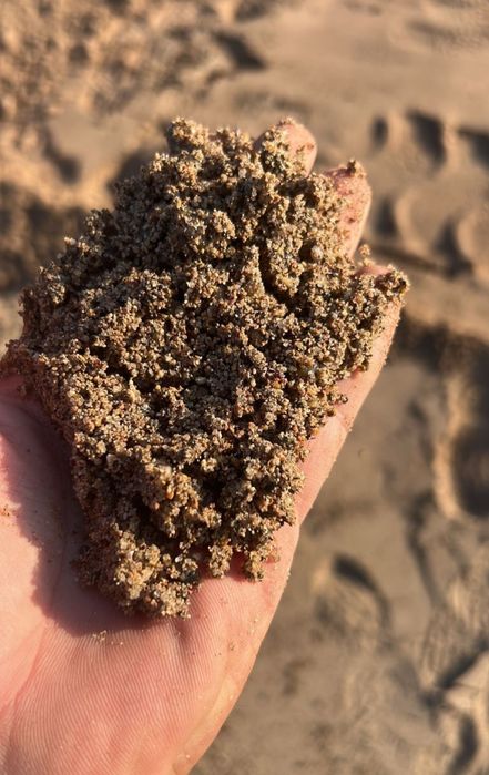 Услуги Грузоперевозки