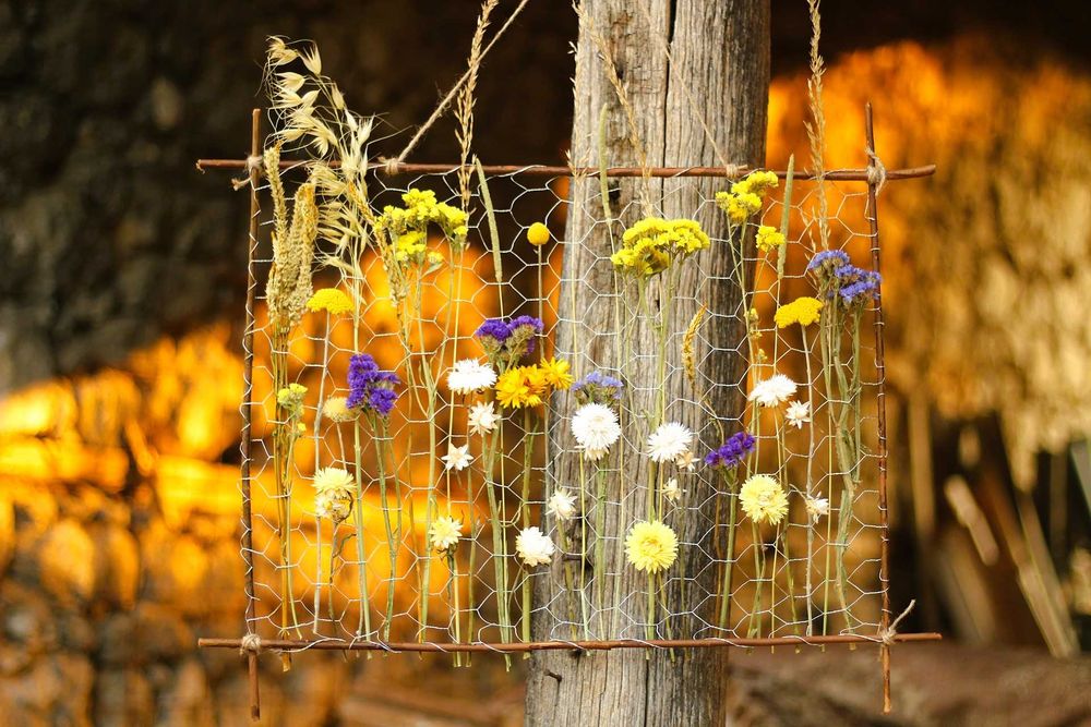 Пана и букети от сухи цветя