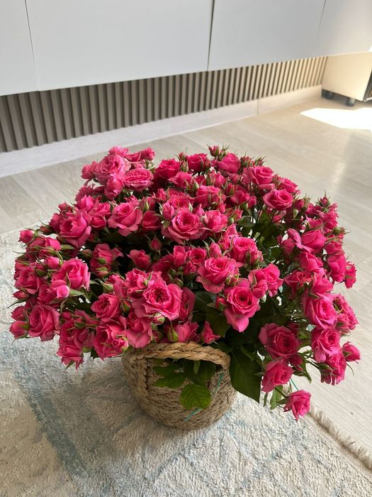 Свежый гул сатылады