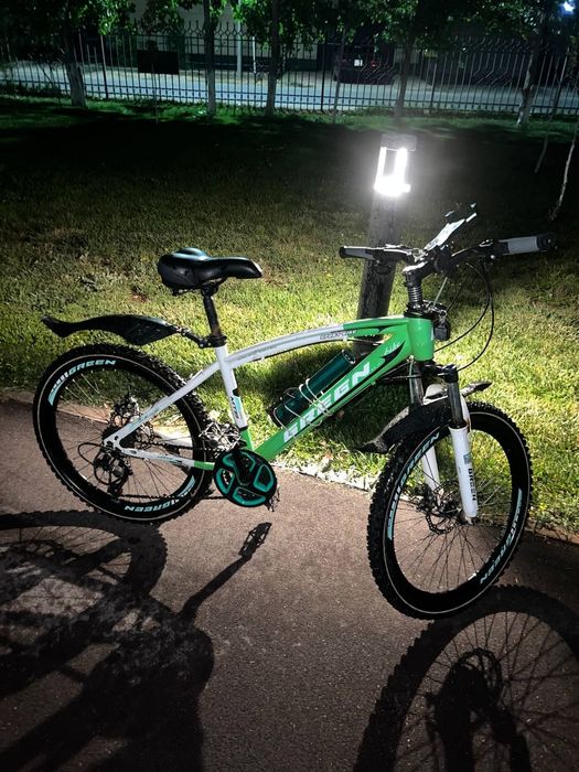 Осы велик сатылады