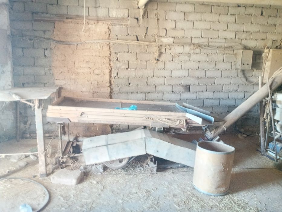 Sholi tegirmon xitoy GIGANT