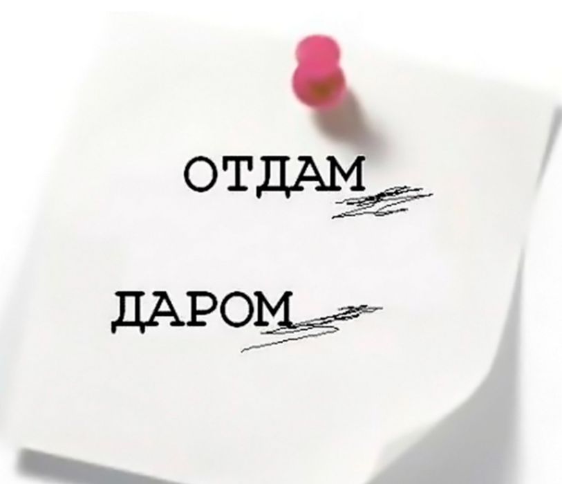 Бесплатно одежды и игрушки