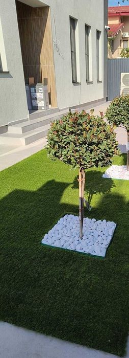 Amenajare Gradina cu Gazon Sintetic