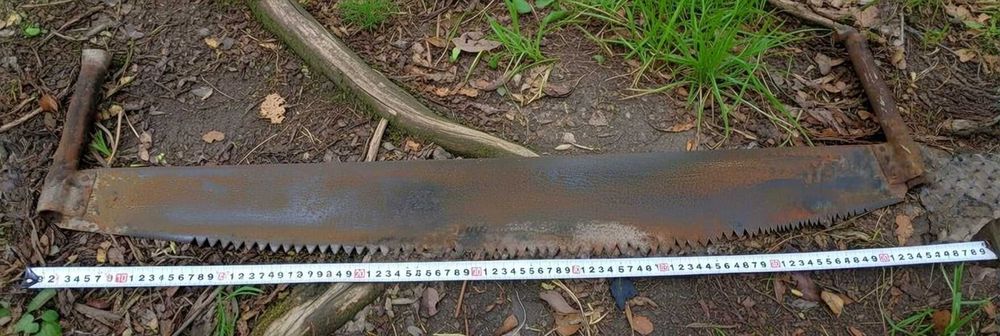 Пила дружба ссср.